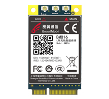 LTE Standard Module Series